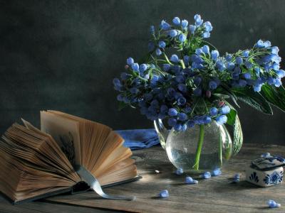 棺材，书，花瓶，蓝色的花，静物