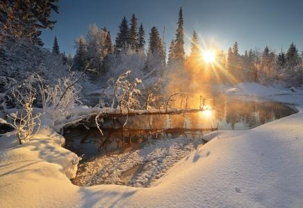 水，雪，冷杉，霜，太阳，照片，奥列格Pozharkov