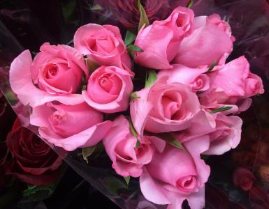 玫瑰，粉红色，花束，背景