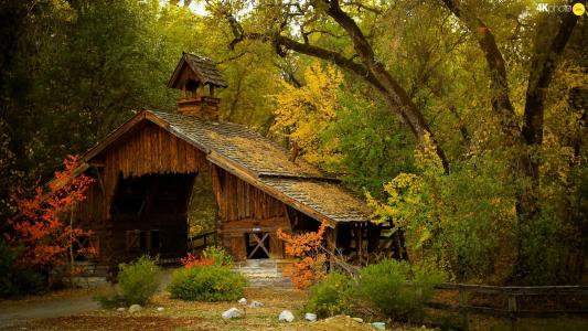 谷仓，树木，秋天，性质