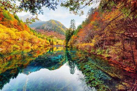 自然，山，秋天，游客