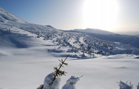 乌克兰，喀尔巴阡，冬天，雪，美丽