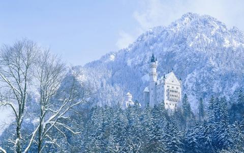 阿尔卑斯山，巴伐利亚，慕尼黑，城堡，冬天