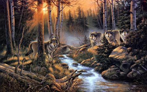 艺术，自然，森林，狼，羊群，流