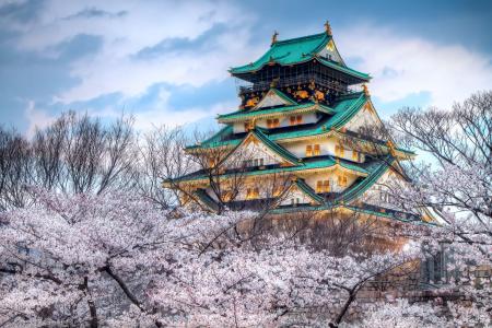 天空，日本，城市，寺庙，春天
