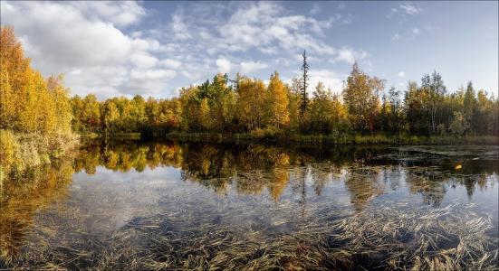森林，河流，树木，天空，反射，秋天，罗马Chudinovich
