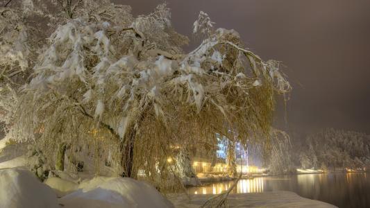 雪，snowdrifts，树，冬天，灯