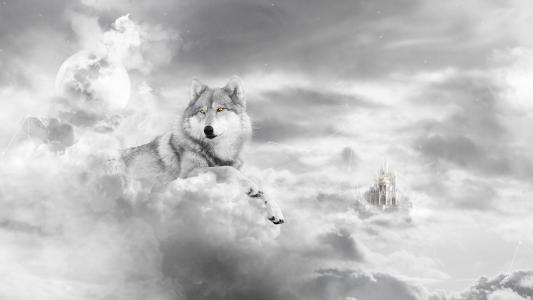 狼，城堡，白色，艺术