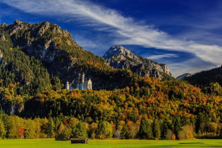 德国，山，城堡，森林，新天鹅堡，天空，巴伐利亚，树，性质