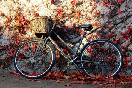 自行车，墙壁，篮子，美女，太阳