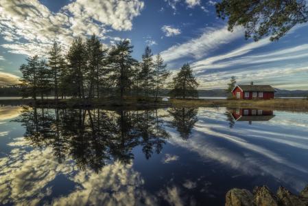 Ringerike，挪威，湖，反射
