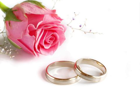 婚礼，玫瑰，戒指
