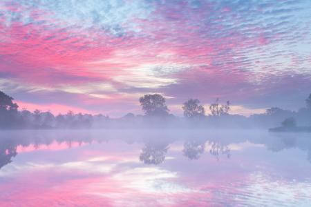 黎明，树木，天空，粉红色，雾，河，阴霾，早晨