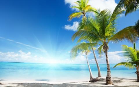 阳光，棕榈树，海，云