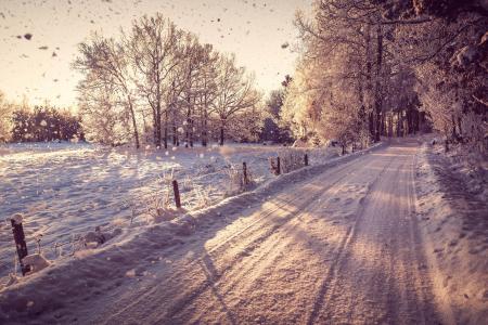 冬天，景观，道路，雪，性质，树木，森林