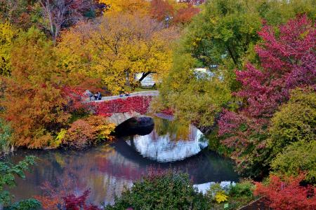 秋天的公园，绿树成荫，黄叶红叶，水上桥，水中倒影
