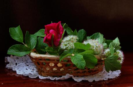 餐巾，篮子，鲜花，绣线菊，玫瑰果，叶子，夏天