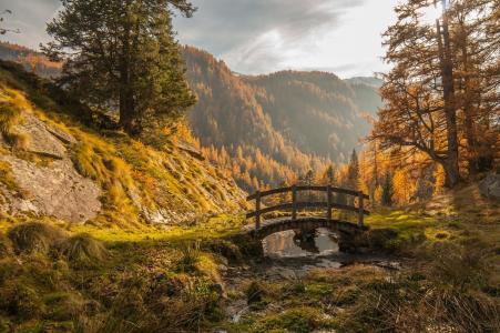 自然，桥，山，秋天