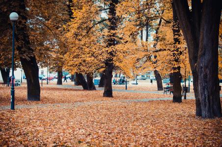 性质，秋季，卢布林