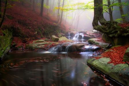 性质，秋季，森林，流，石头，叶子，瀑布