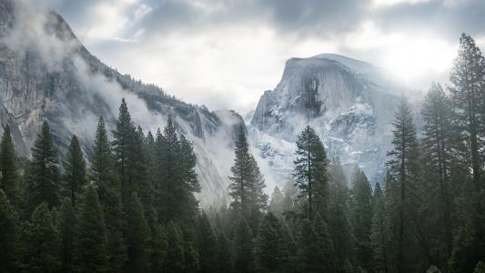 优胜美地国家公园，加利福尼亚州，内华达山脉，优胜美地国家公园，优胜美地，加利福尼亚州，森林，山，雪，雾