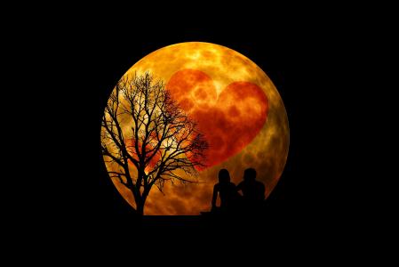 晚上，月亮，心，树，恋人，3d图形