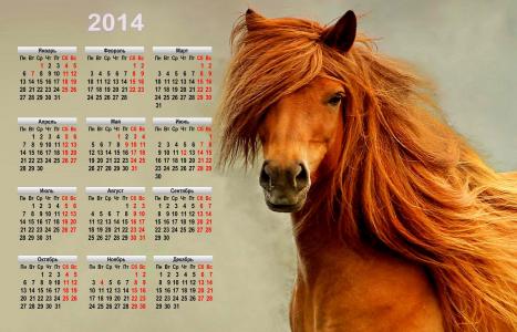 假期，新年，日历，符号，2014年，马