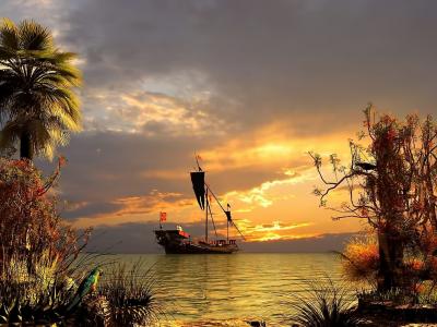 船，海，天空，棕榈树，黎明