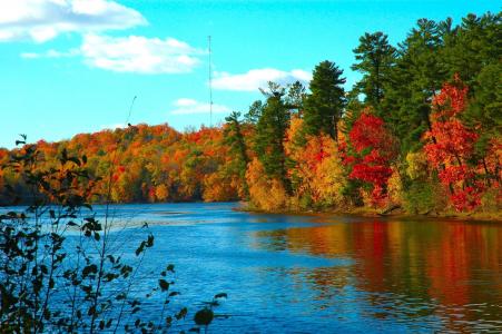 秋天，水，湖，树，反射