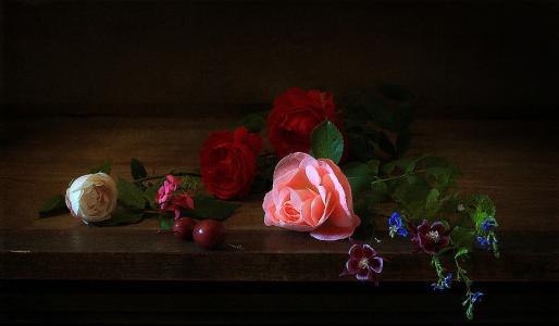 玫瑰，毛茛，静物，丽塔Goncharenko