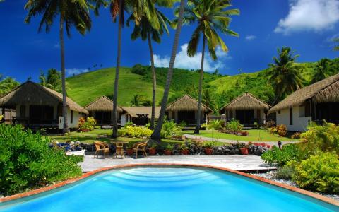 度假，棕榈树，游泳池，热带