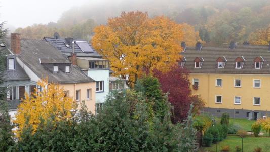 早上，雾，秋天，从窗口，院子里