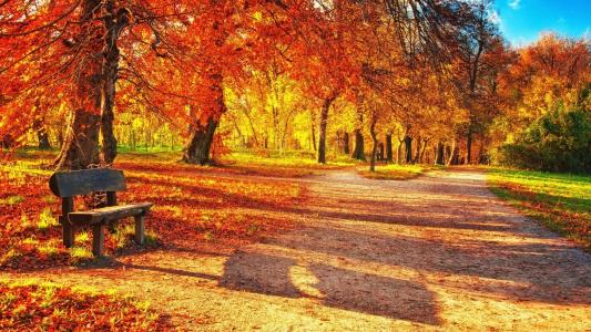 公园,沙漠小巷,孤独的长椅,深红的树叶,平日的秋日