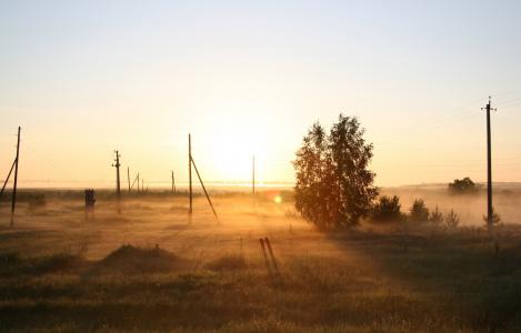 黎明，雾，俄罗斯，性质，树，早上，领域