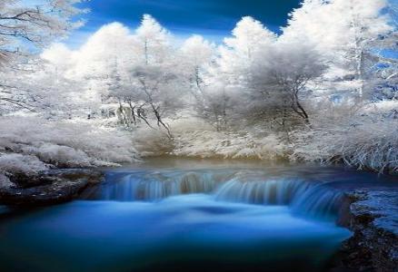 冬天的童话，河，门槛，树木，天空