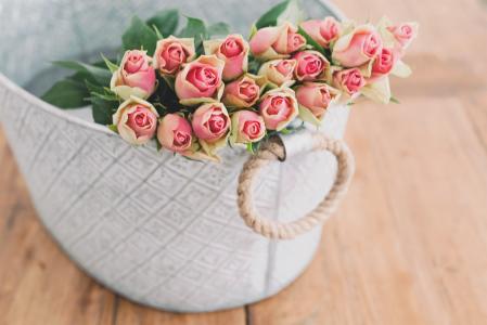 板，箱子，鲜花，玫瑰