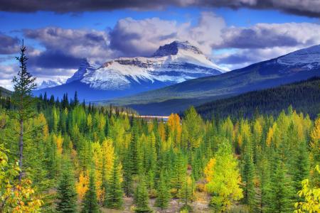 班夫国家公园，秋天，加拿大，加拿大，艾伯塔省