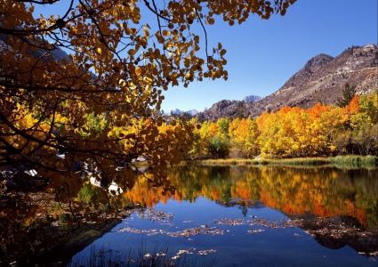 秋天，树木，黄叶，河，山
