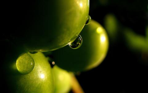多汁的苹果，绿色，滴