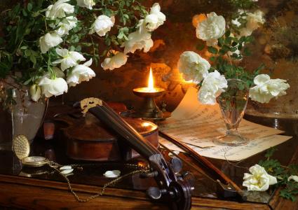 玫瑰，小提琴，音乐，蜡烛，安德烈莫罗佐夫