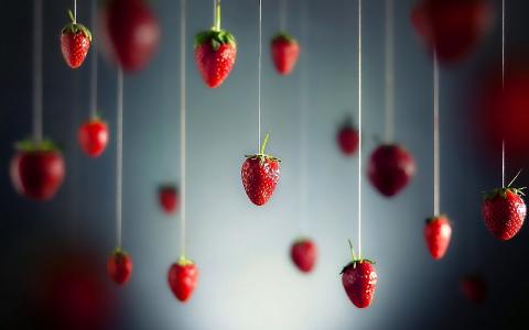 浆果，草莓，线程