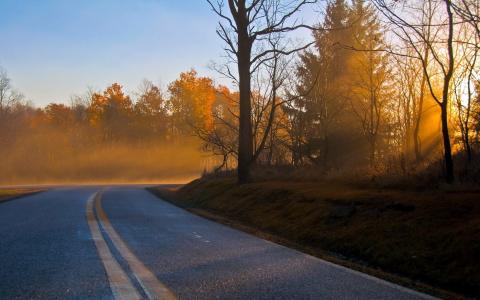 秋天，早晨，景观，道路