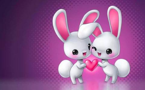 兔子，爱，心