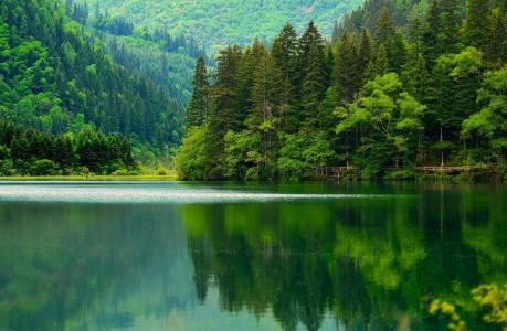 自然，山，森林，湖泊，美丽