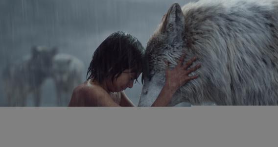 Mowgli，狼，电影