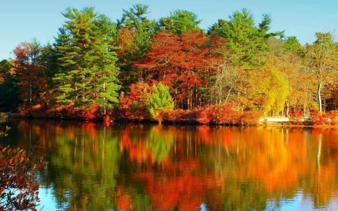 颜色，秋天的颜色，水面