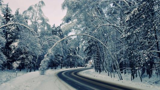 冬天，性质，路，村，桦木，冰，美丽