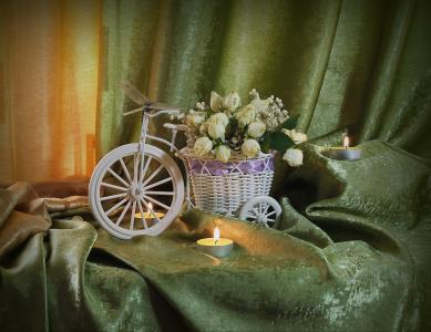 静物，静物，布，窗帘，花盆，自行车，鲜花，玫瑰，蜡烛，蜻蜓