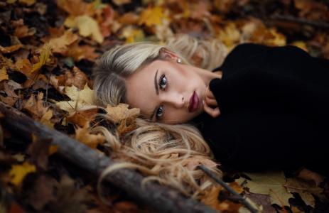 金发女郎，构成，叶子，叶子，秋季，女孩，美丽