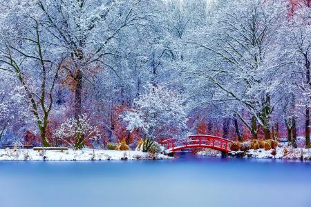 自然，冬天，公园，雪，水，桥梁